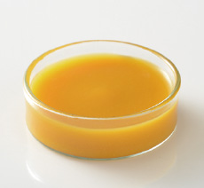 三ヶ日みかん（無糖）