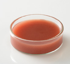 紅ほっぺいちご（無糖）