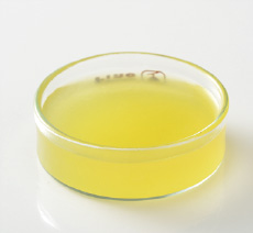 クラウンメロン